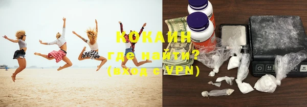 шишки Осинники
