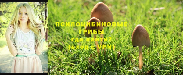 мяу мяу мука Магас