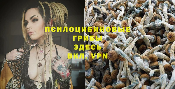 MESCALINE Магадан