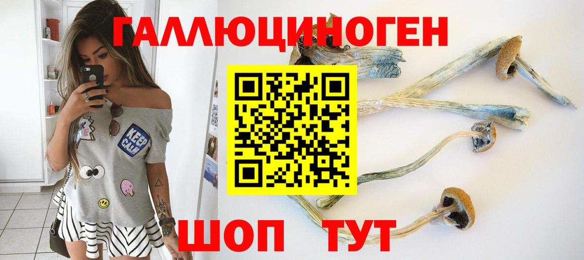 Орск  Псилоцибиновые грибы GOLDEN TEACHER  Псилоцибиновые грибы GOLDEN TEACHER  Вход с VPN 